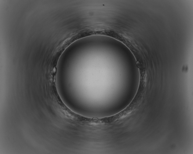 X0000089910916200707060956