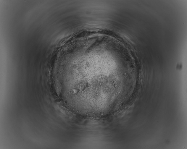 X0000089910917200707060956