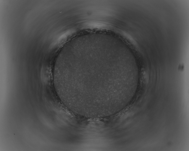 X0000089910918200707060956