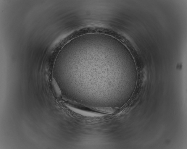 X0000089910919200707060956