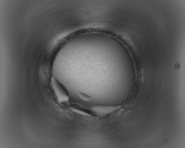 X0000089910920200707060956