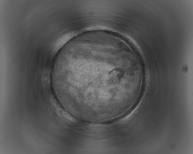 X0000089910921200707060956