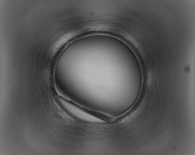 X0000089910922200707060956