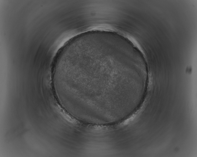 X0000089910923200707060956