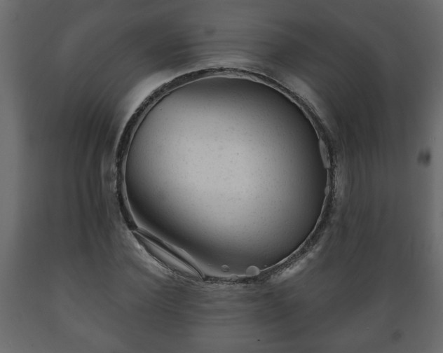 X0000089910924200707060956