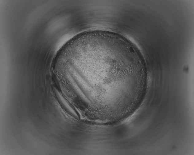X0000089910925200707060956