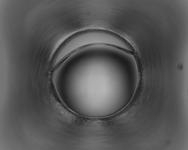 X0000089910926200707060956