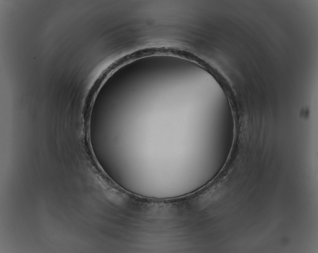 X0000089910927200707060956