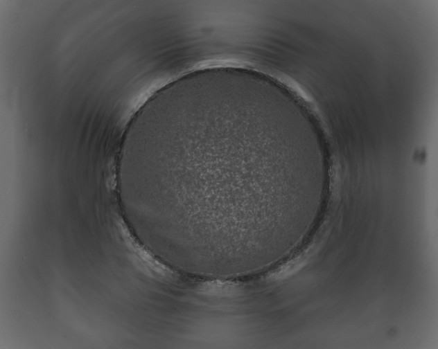 X0000089910929200707060956