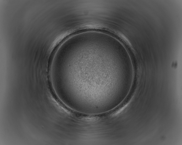 X0000089910930200707060956