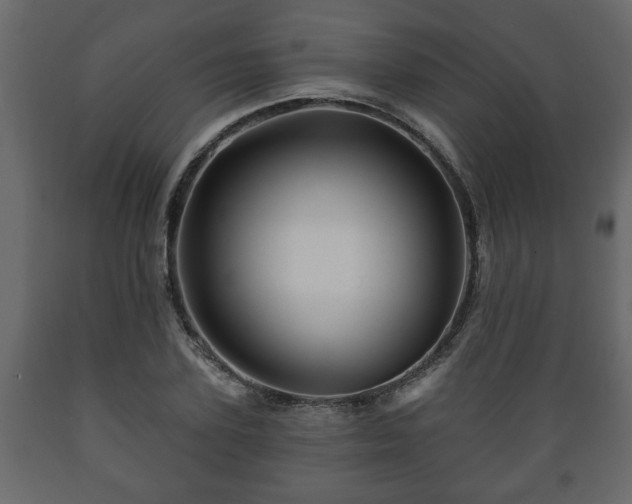 X0000089910931200707060956