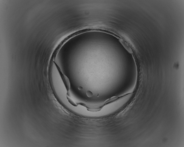 X0000089910932200707060956