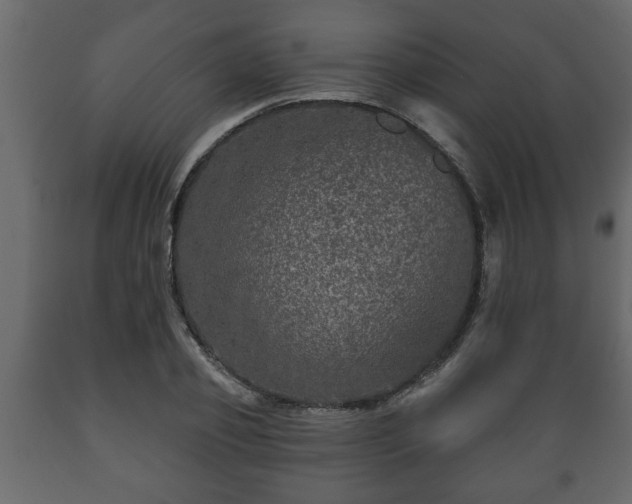 X0000089910933200707060956