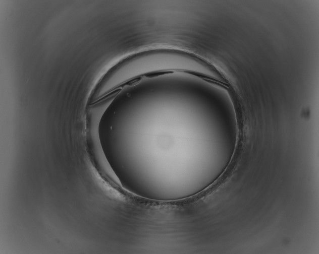X0000089910934200707060956