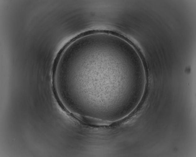 X0000089910935200707060956