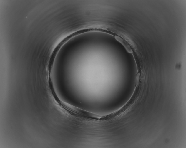 X0000089910936200707060956