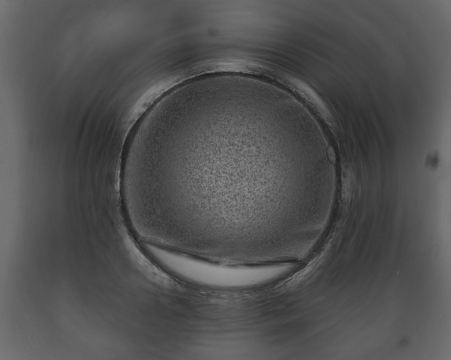 X0000089910938200707060956