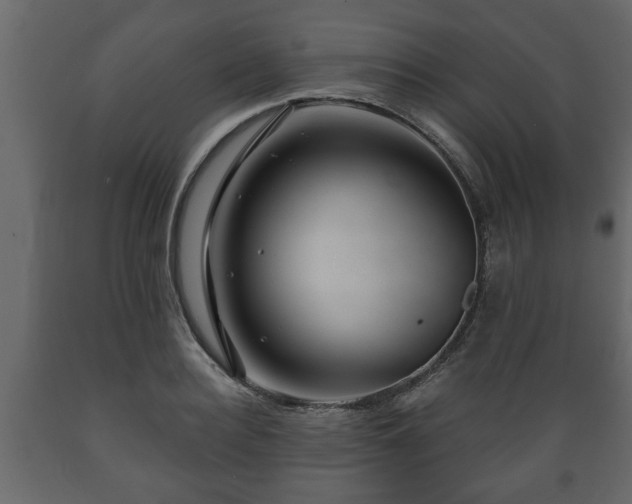 X0000089910940200707060956