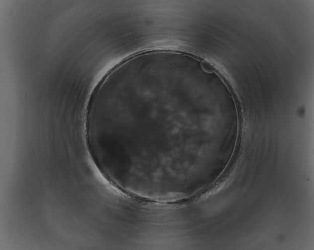 X0000089910941200707060956