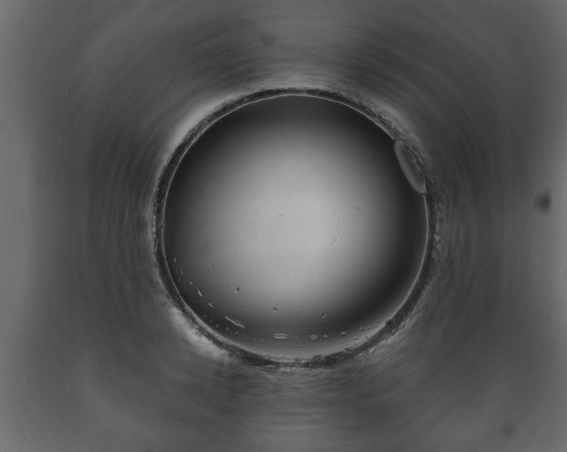 X0000089910942200707060956