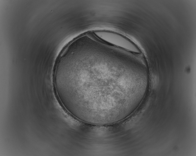 X0000089910943200707060956