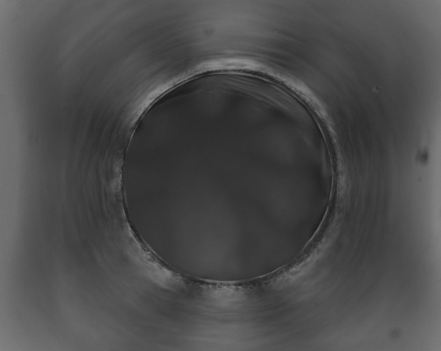 X0000089910945200707060956
