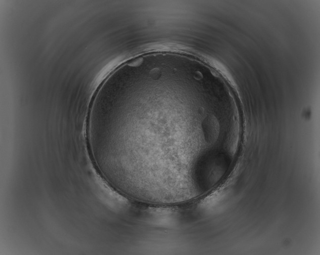 X0000089910946200707060956