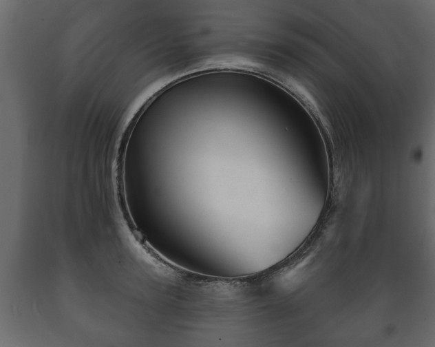 X0000089910947200707060956