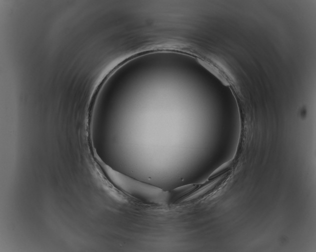 X0000089910948200707060956