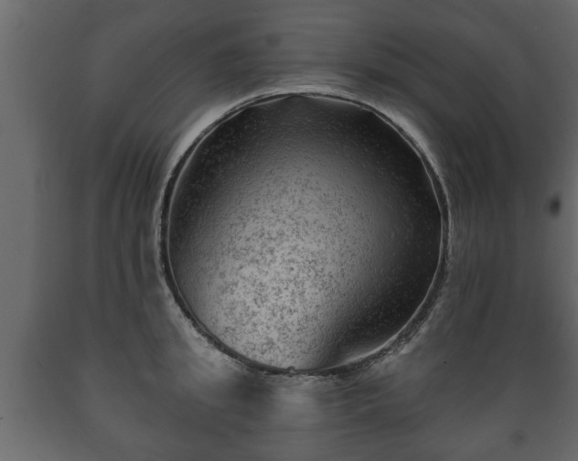 X0000089910949200707060956
