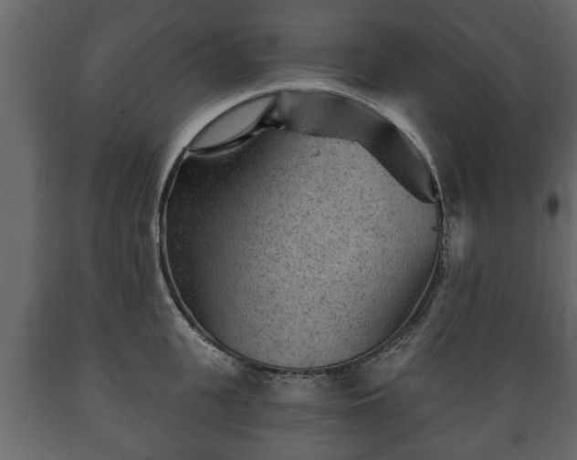 X0000089910951200707060956