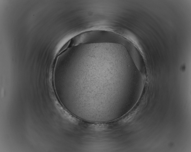 X0000089910952200707060956
