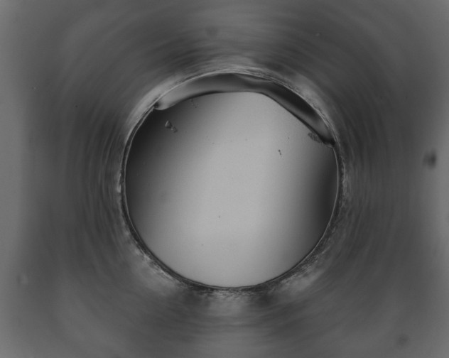 X0000089910954200707060956