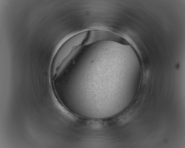X0000089910955200707060956