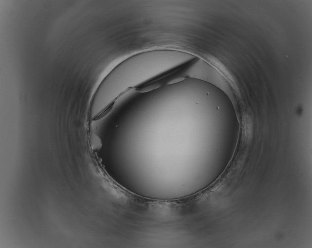 X0000089910956200707060956