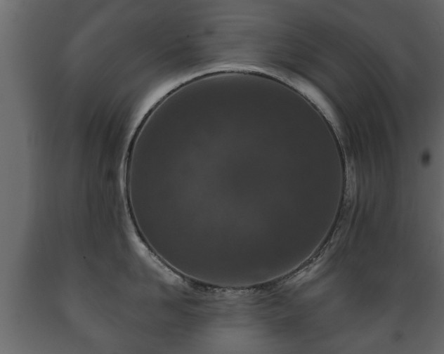 X0000089910958200707060956