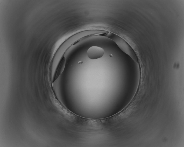 X0000089910960200707060956