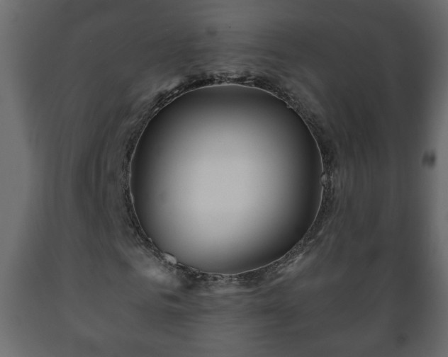 X0000089910961200707060955