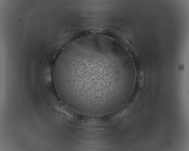X0000089910962200707060955