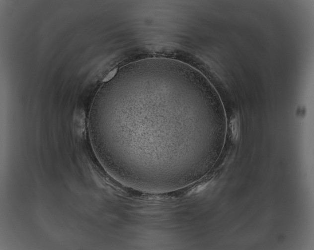 X0000089910963200707060955