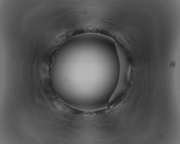 X0000089910964200707060955