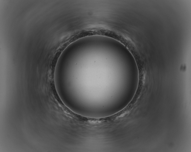 X0000089910965200707060955
