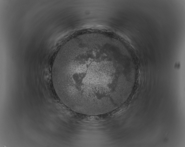 X0000089910966200707060955
