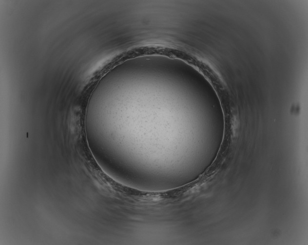 X0000089910968200707060955