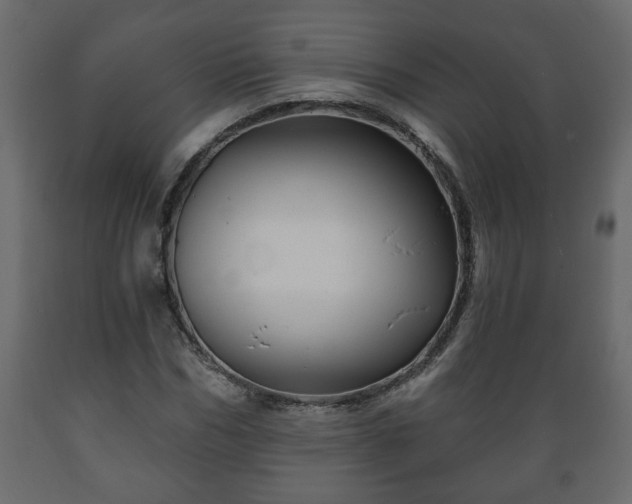 X0000089910970200707060955
