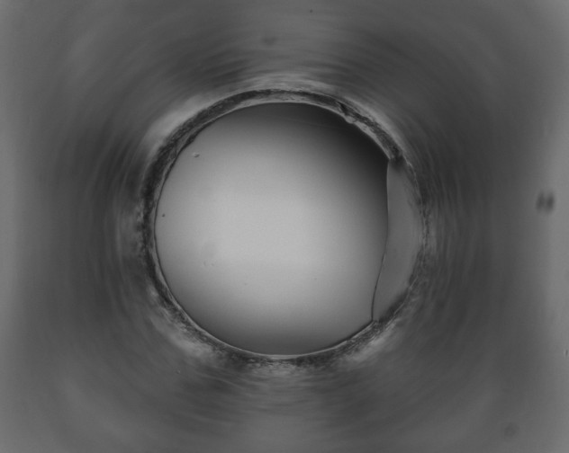 X0000089910971200707060955