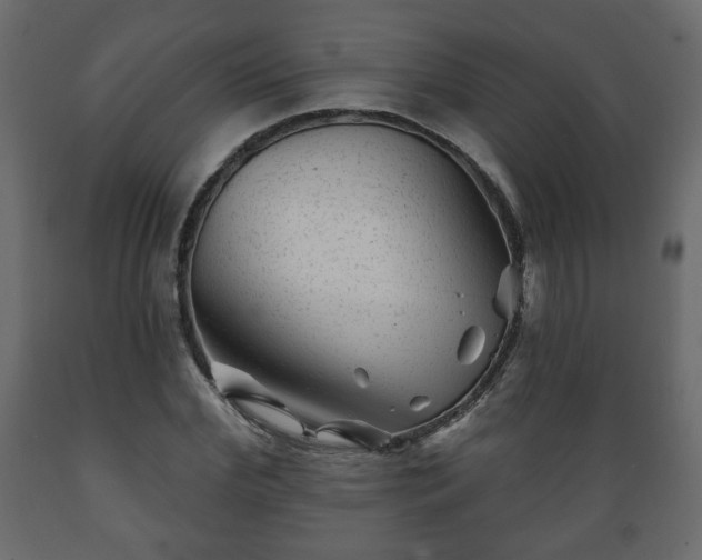 X0000089910972200707060955