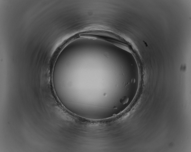 X0000089910973200707060955