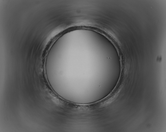 X0000089910974200707060955