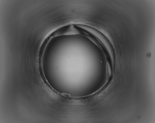 X0000089910976200707060955